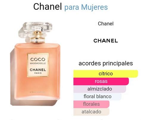 coco mademoiselle chanel notas olfativas|coco mademoiselle perfume.